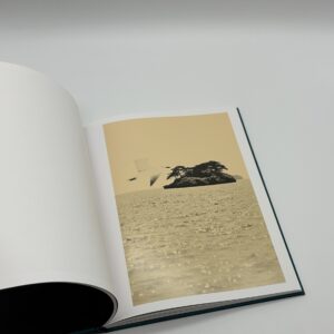 Des oiseaux - 画像 (4)