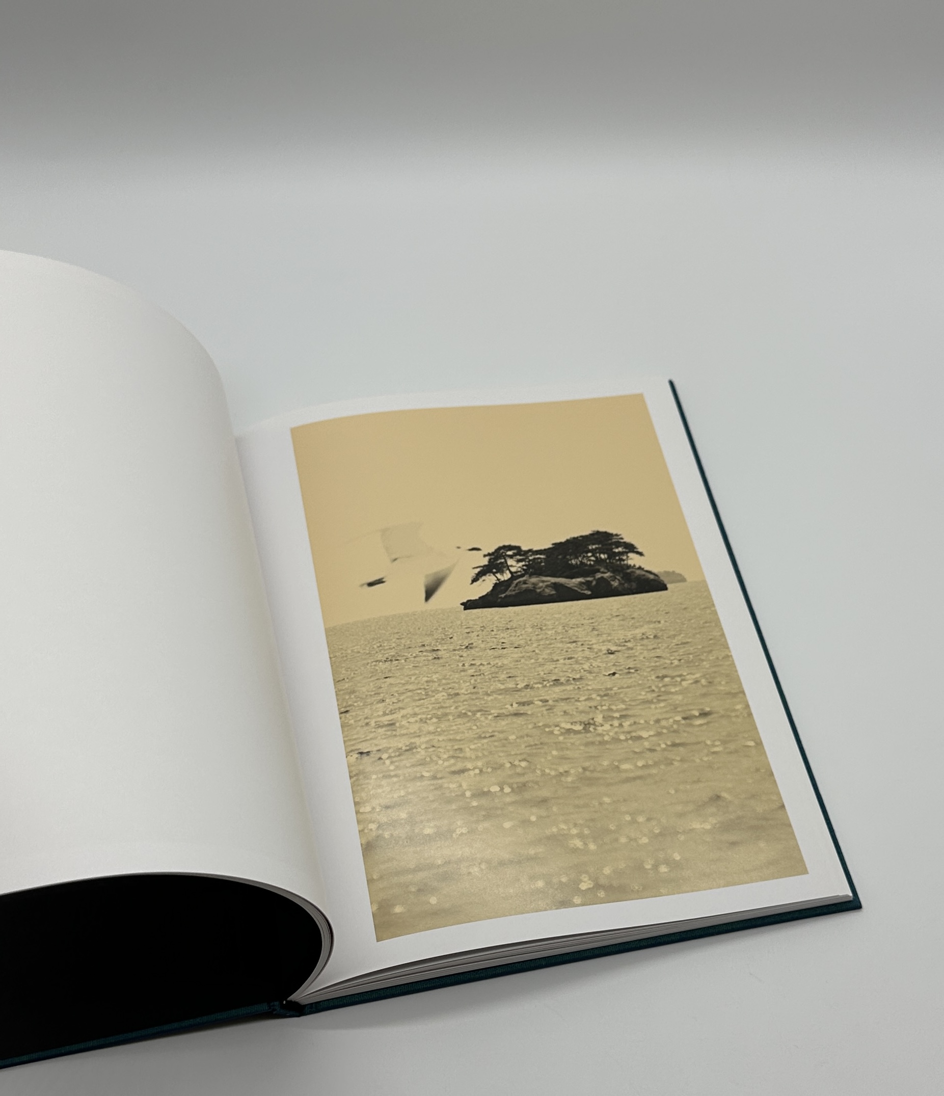 Des oiseaux - 画像 (4)