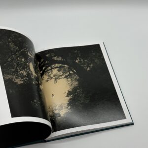 Des oiseaux - 画像 (2)