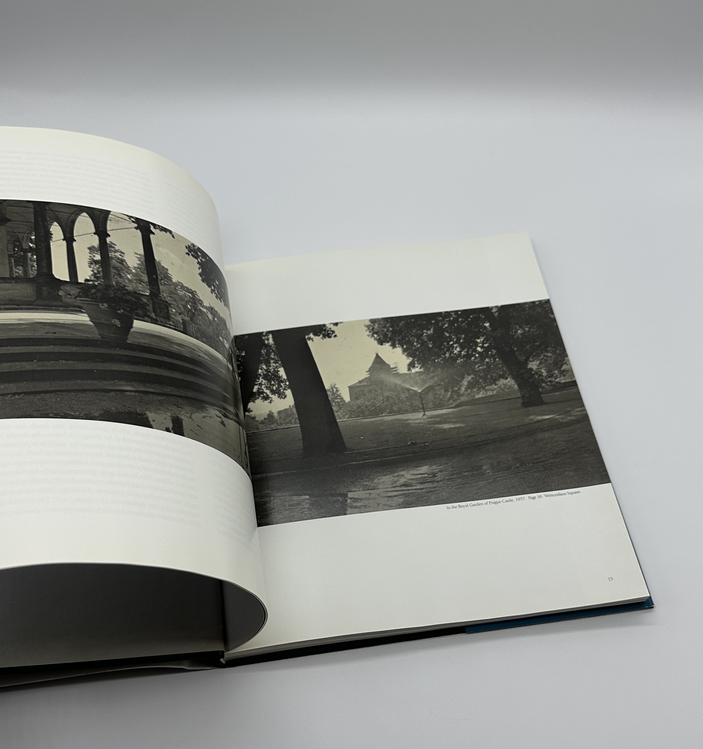 Poet of Prague - 画像 (2)