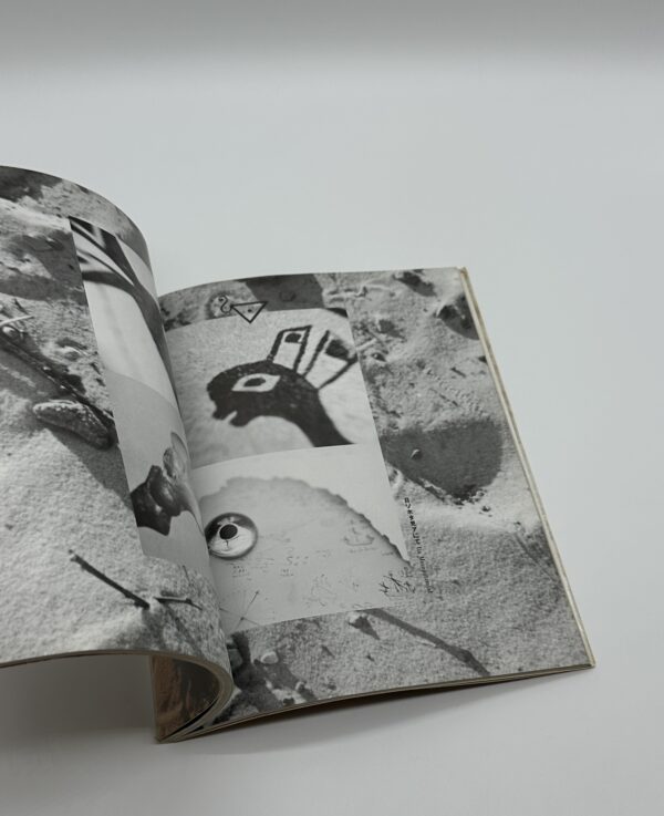 眼玉のハーレム