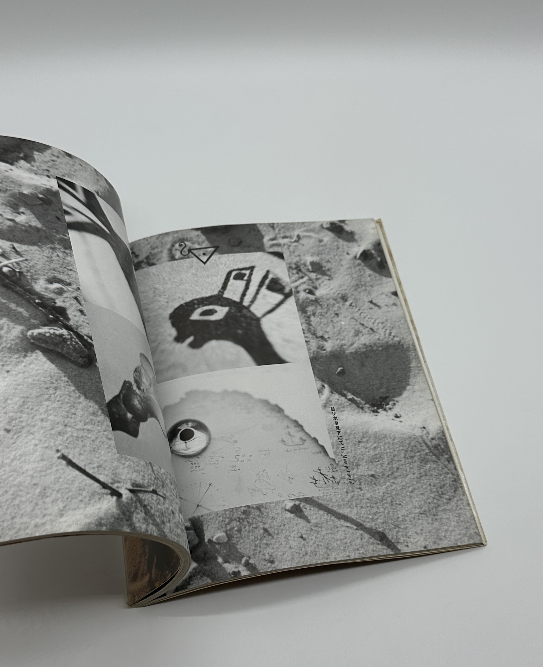 眼玉のハーレム - 画像 (7)