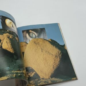 眼玉のハーレム - 画像 (6)