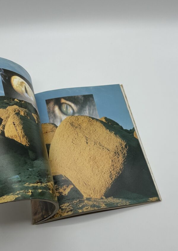 眼玉のハーレム