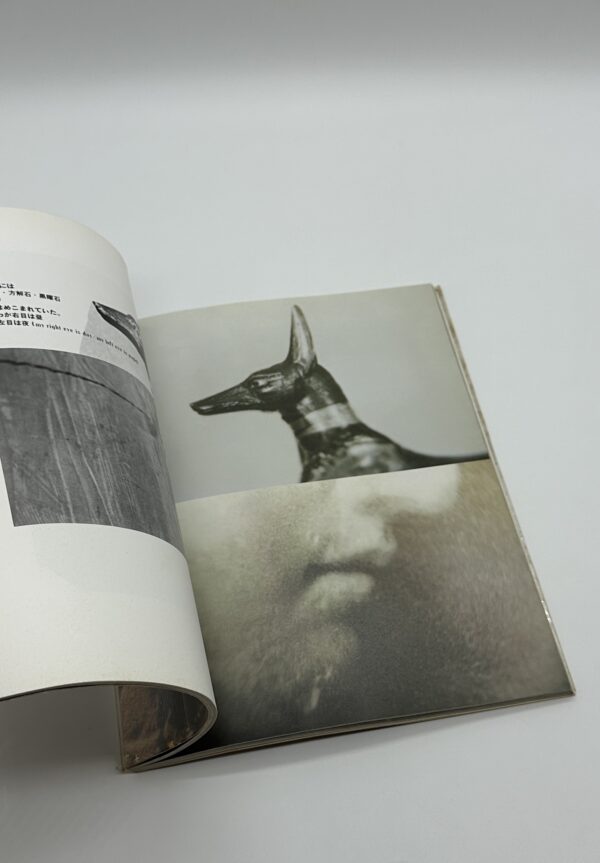 眼玉のハーレム