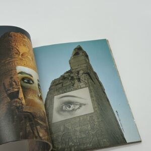 眼玉のハーレム - 画像 (4)