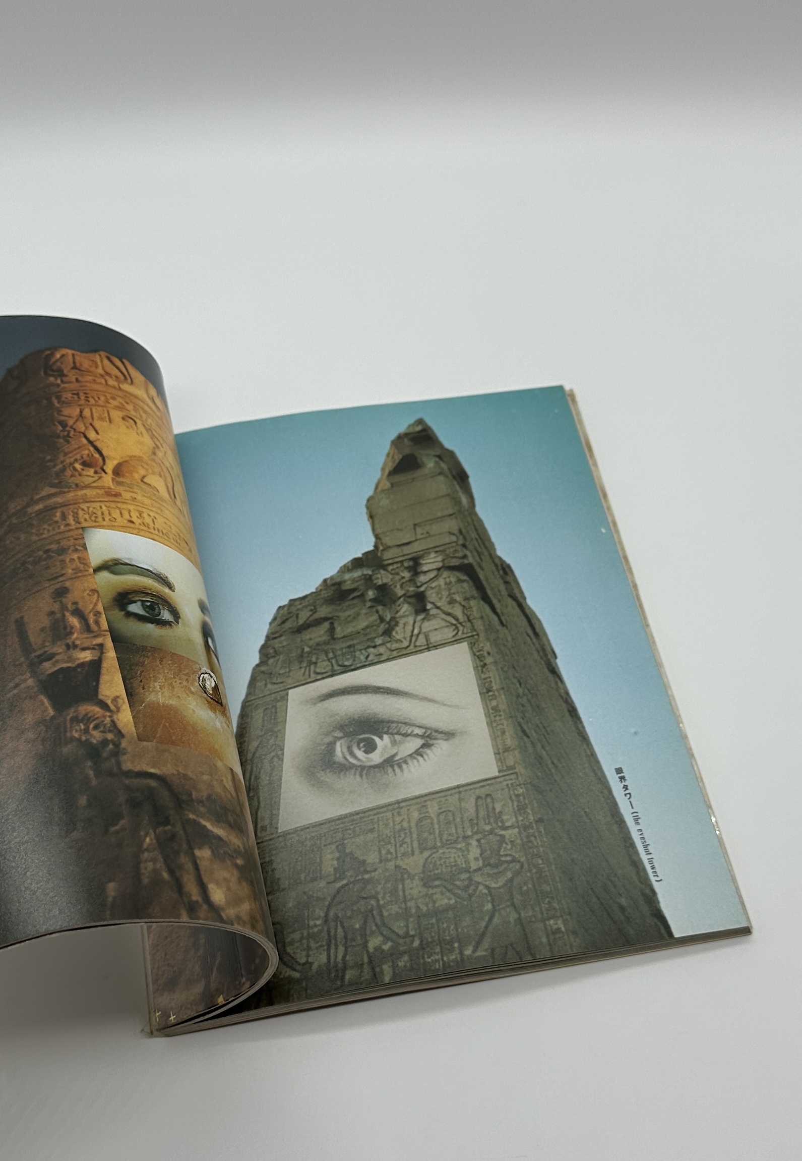 眼玉のハーレム - 画像 (4)