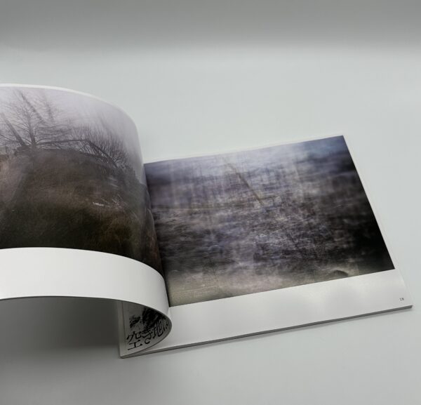 「署名入」空き地は海に背を向けている