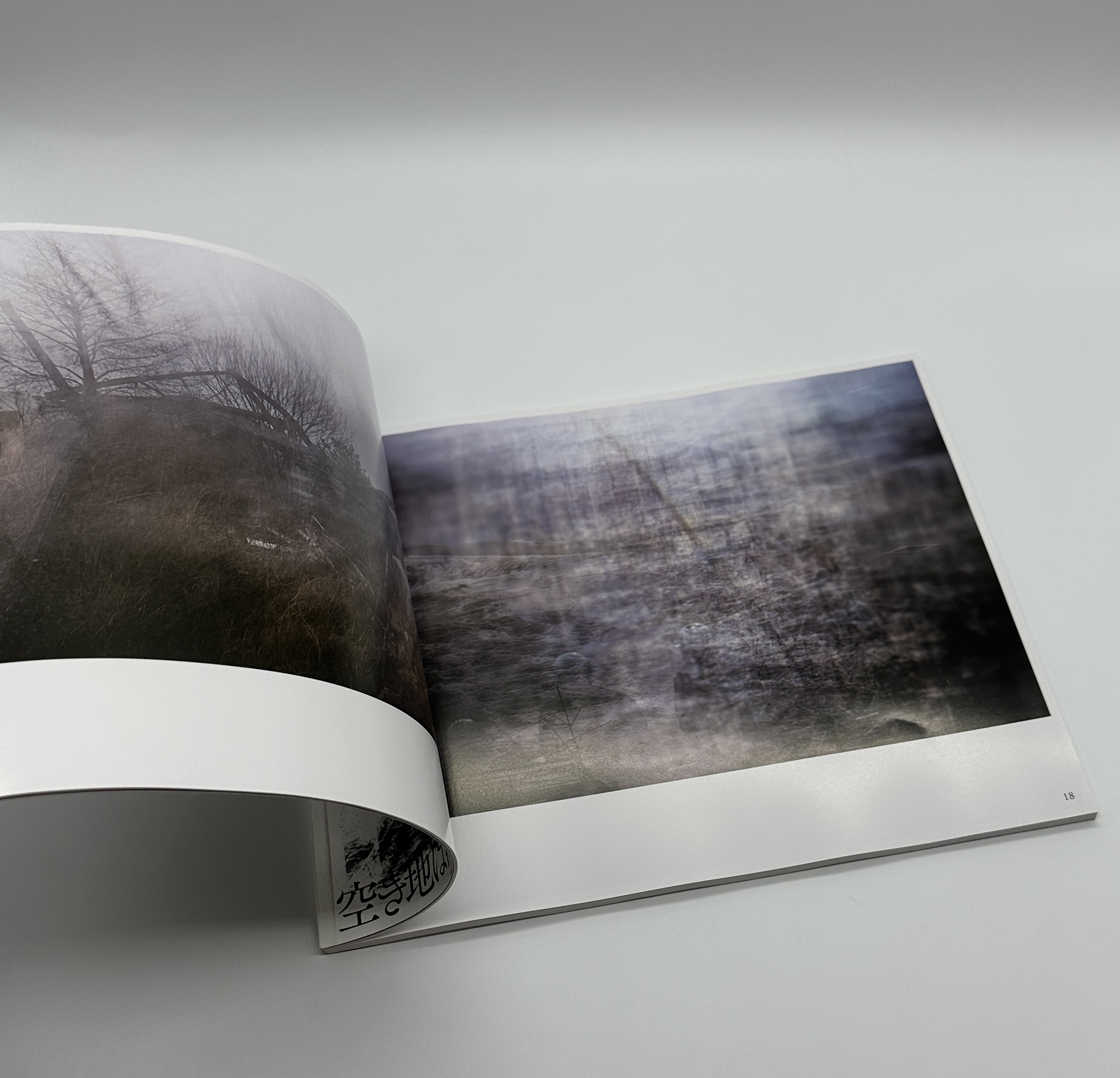 「署名入」空き地は海に背を向けている - 画像 (4)