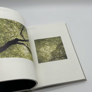 1979 - 2017 - 画像 (9)