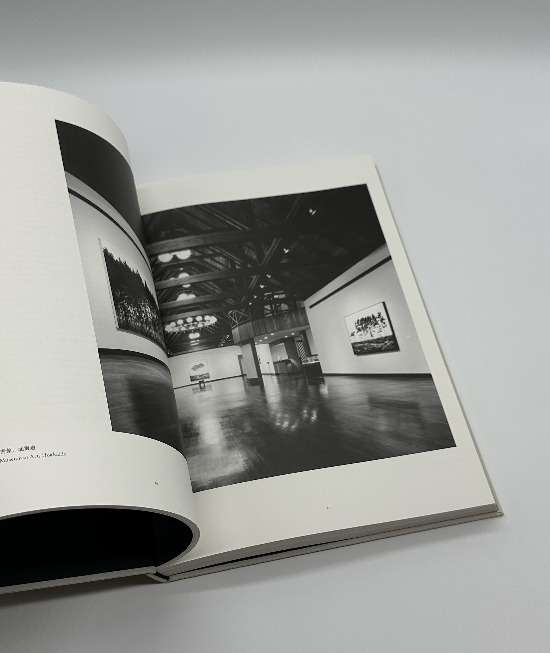 1979 - 2017 - 画像 (7)