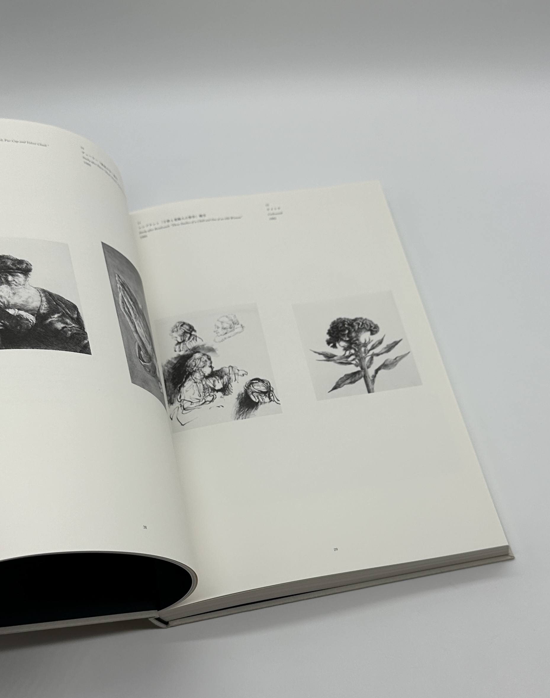 1979 - 2017 - 画像 (5)