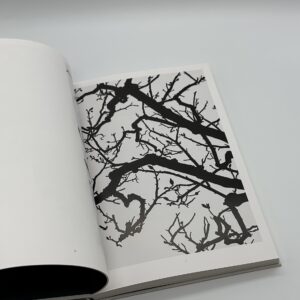 1979 - 2017 - 画像 (4)