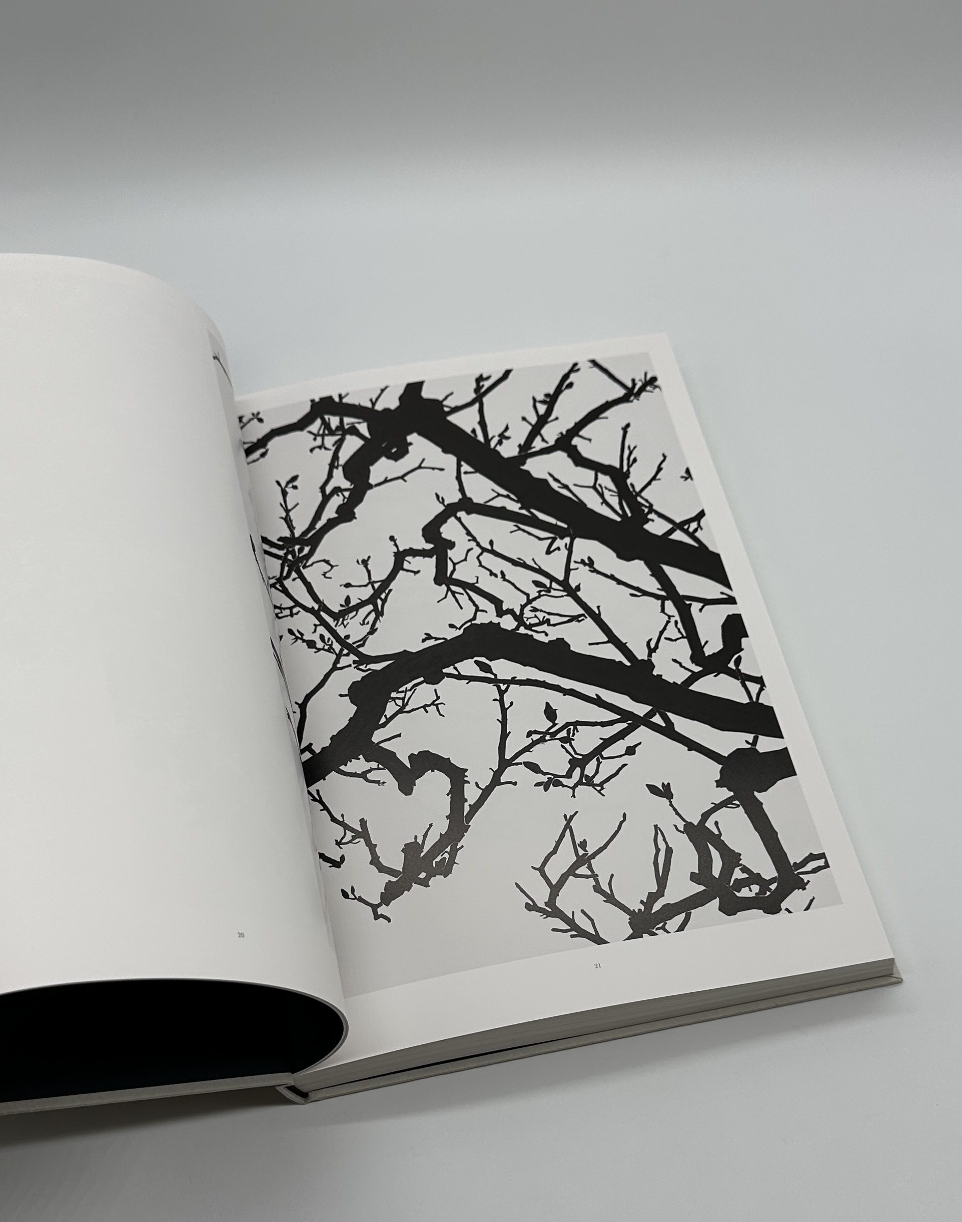 1979 - 2017 - 画像 (4)