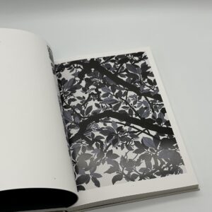 1979 - 2017 - 画像 (3)