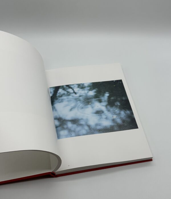 stream of consciousness　意識の流れ