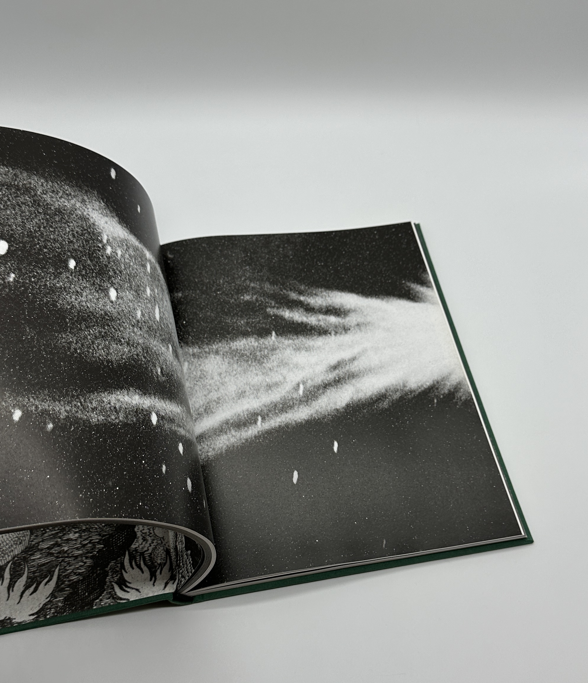 LE PREMIER HOMME - 画像 (6)