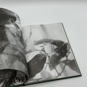 LE PREMIER HOMME - 画像 (4)