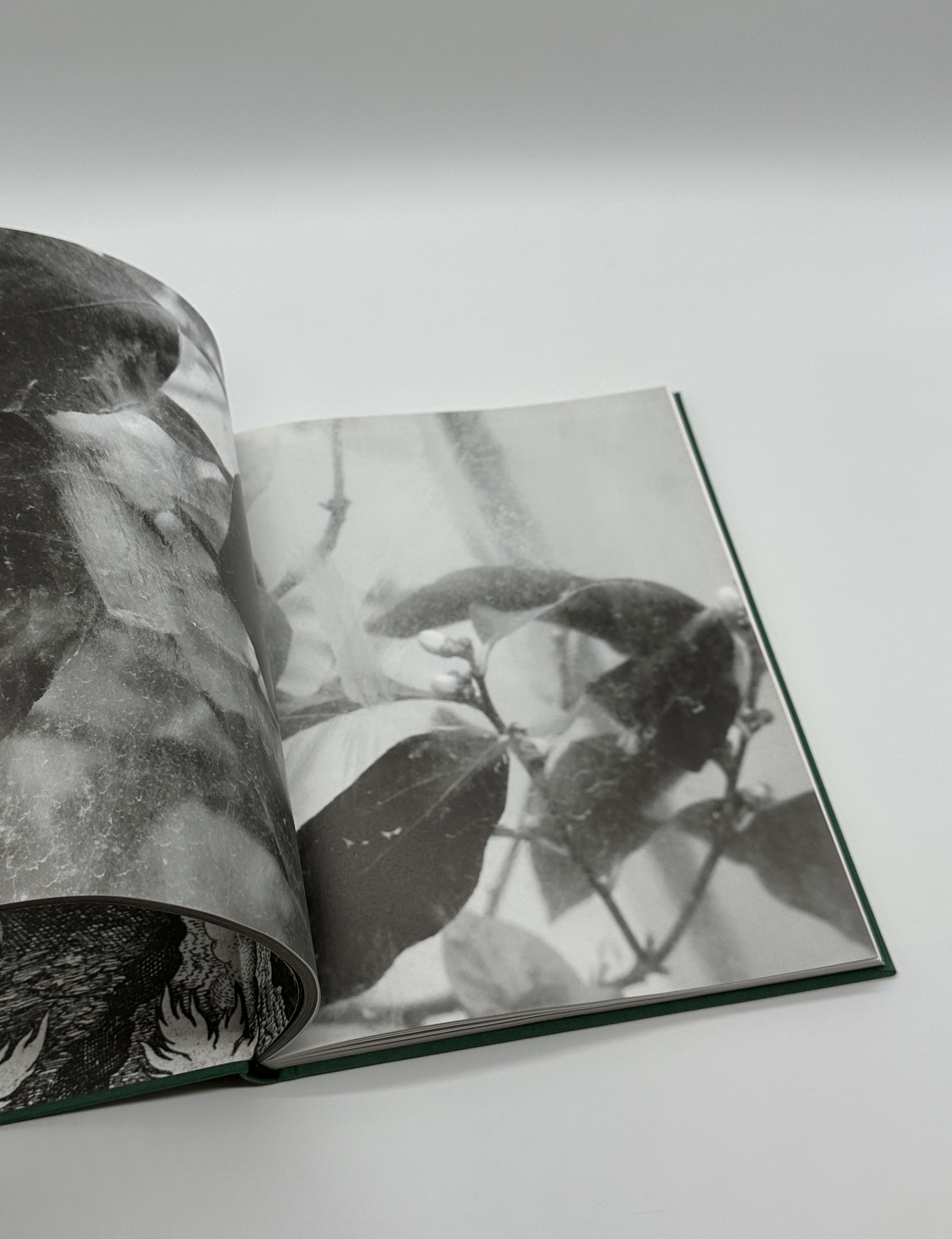 LE PREMIER HOMME - 画像 (4)