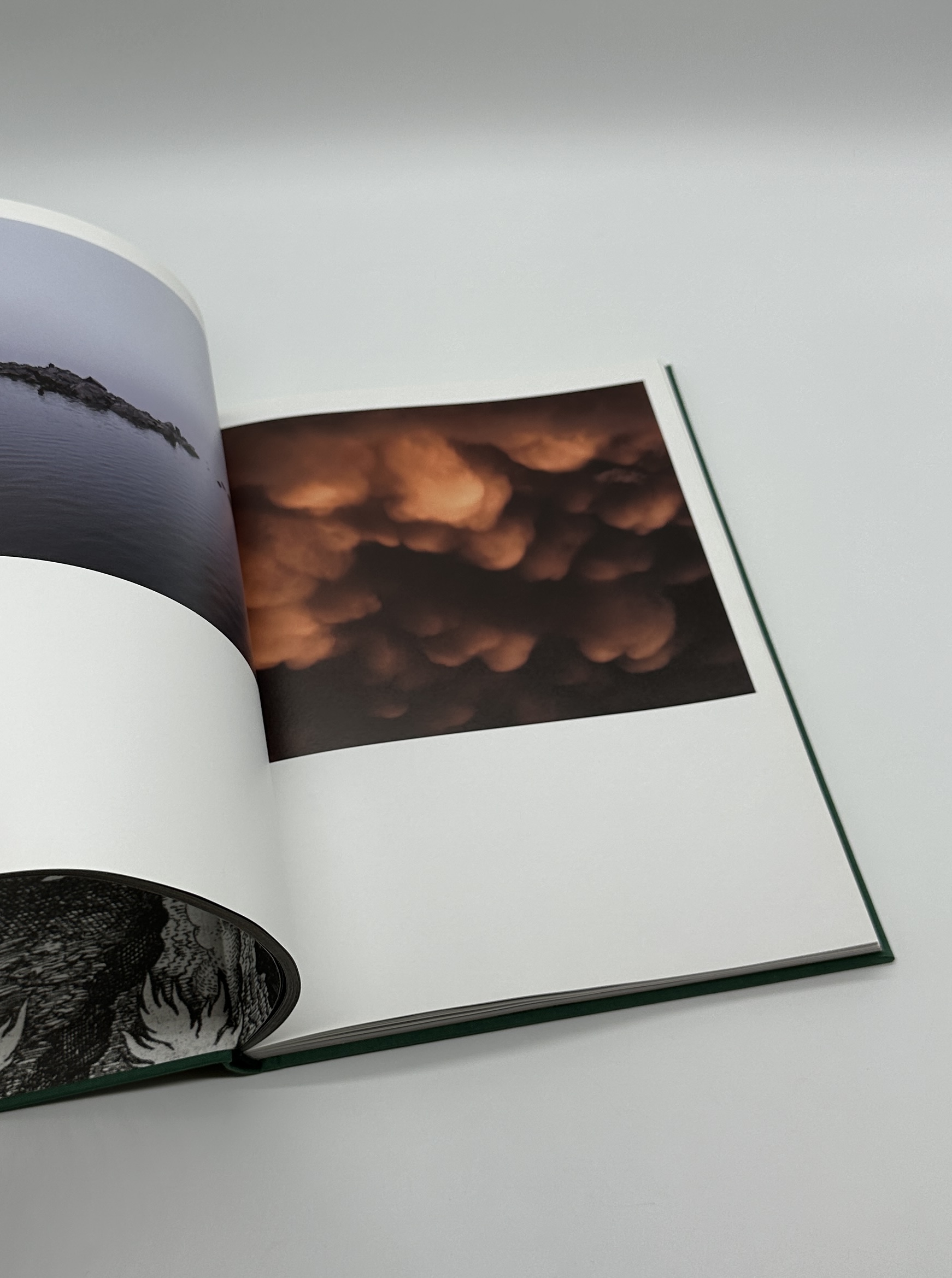 LE PREMIER HOMME - 画像 (3)