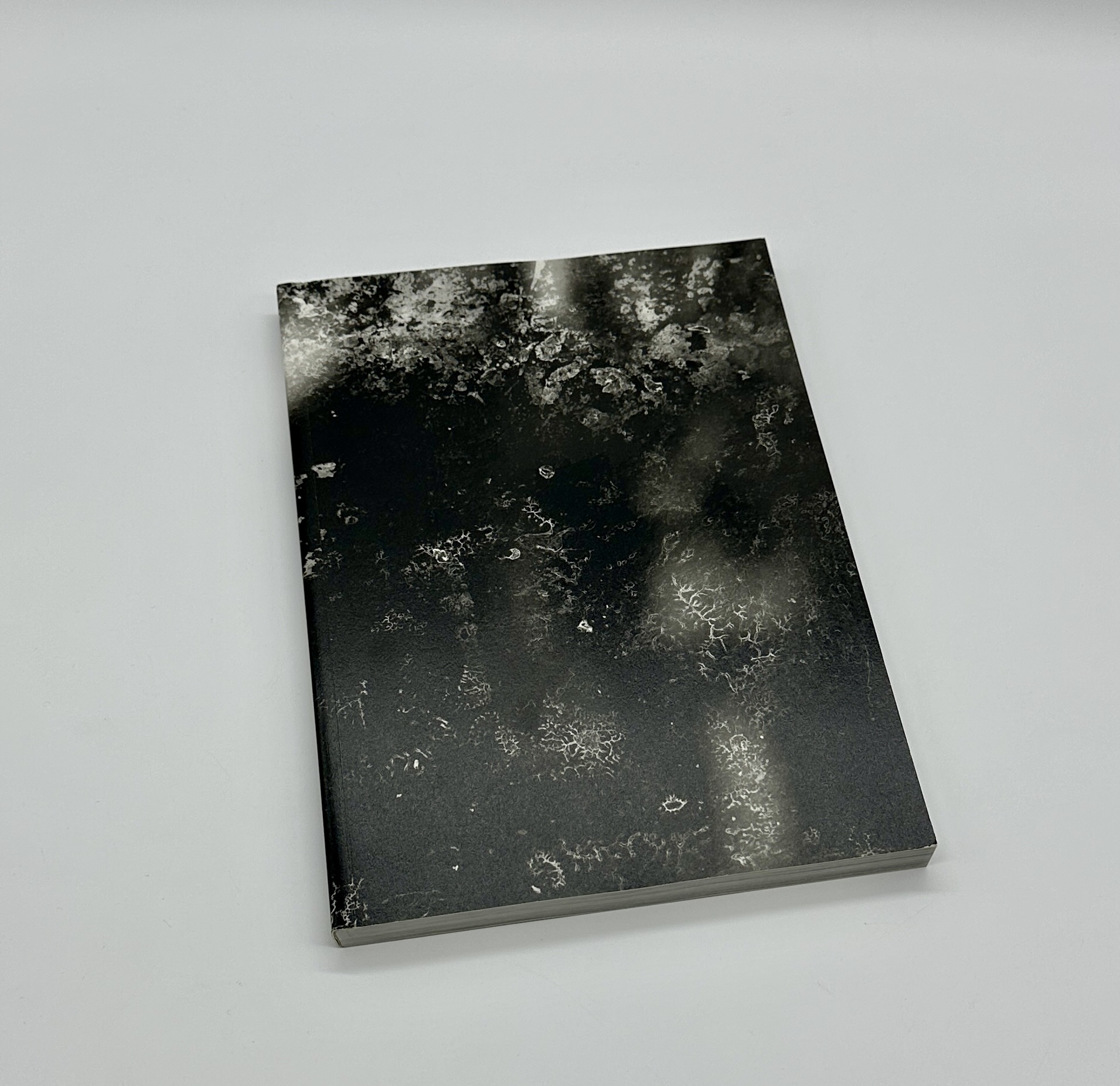 「署名入」欲視録 - 画像 (2)