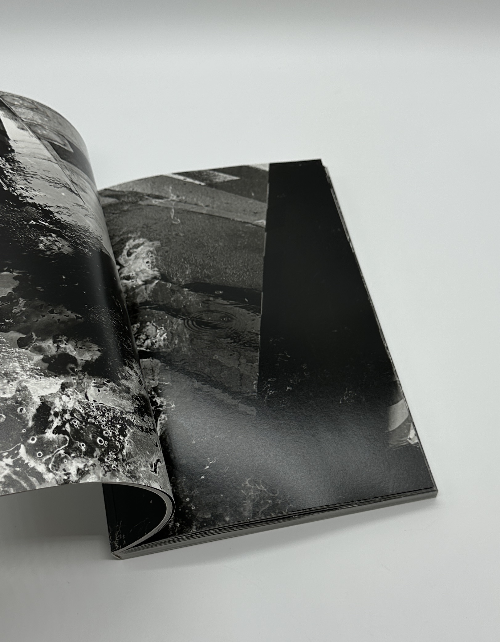 「署名入」欲視録 - 画像 (5)