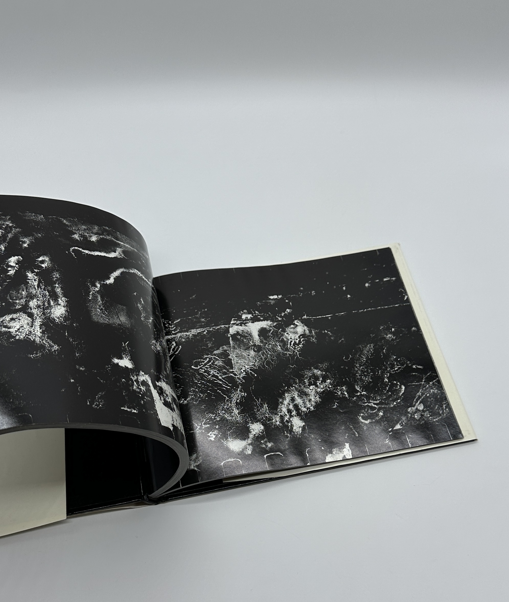 死現実 - 画像 (8)