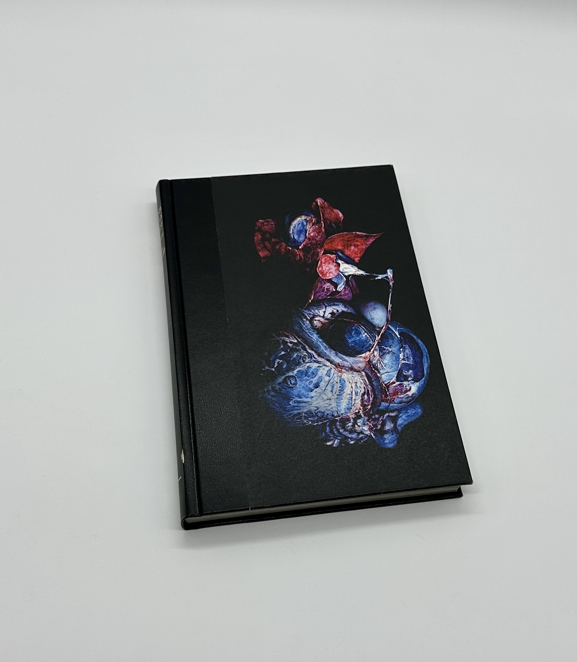 GRAND CIRCLE DIEGO - 画像 (1)