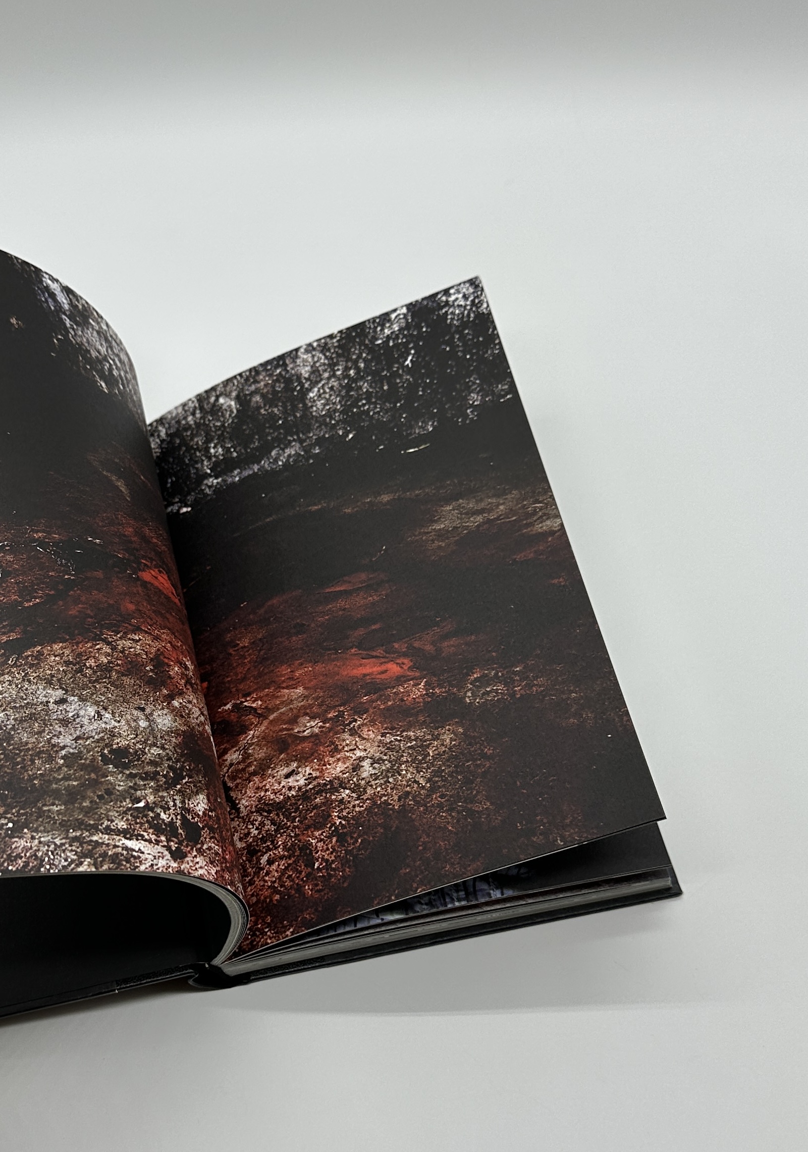 GRAND CIRCLE DIEGO - 画像 (5)