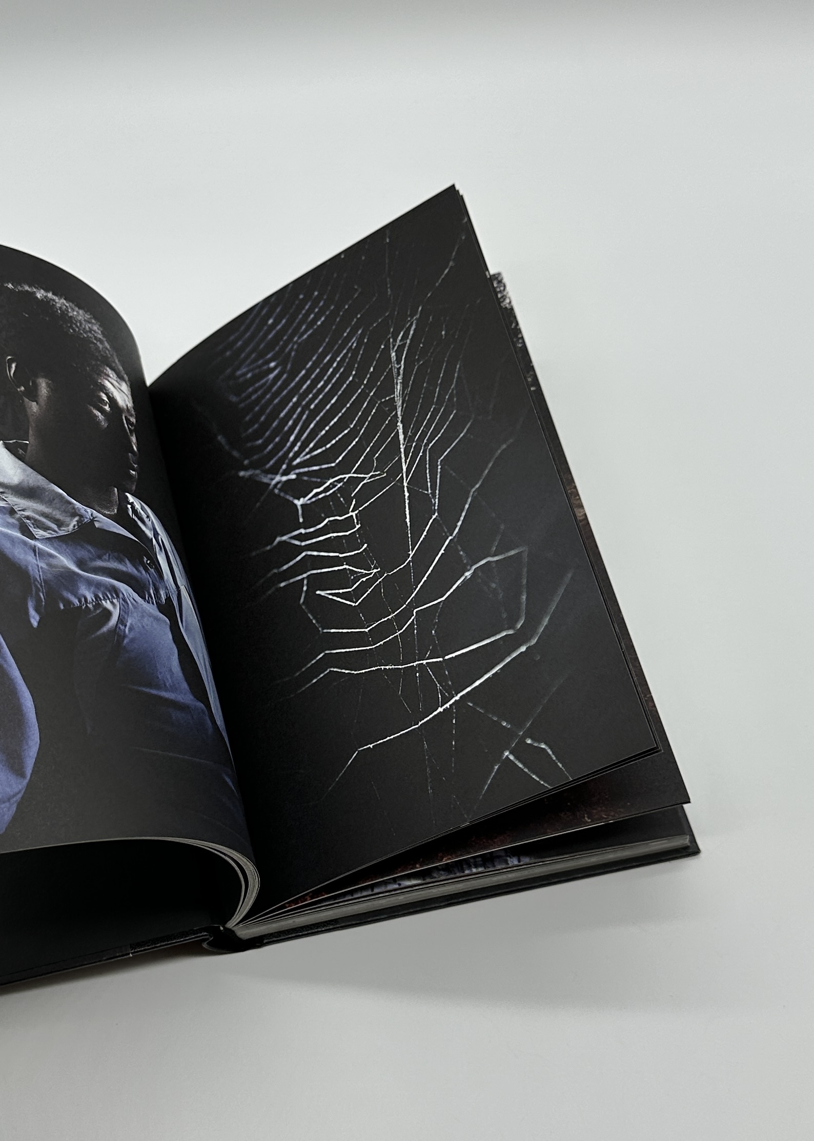 GRAND CIRCLE DIEGO - 画像 (4)