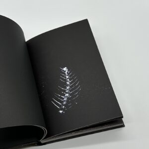 GRAND CIRCLE DIEGO - 画像 (3)