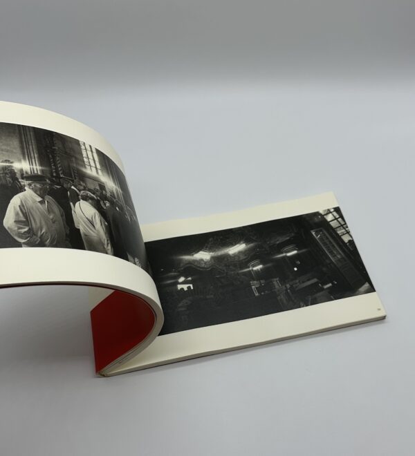 PEACE LAND 1995-2001