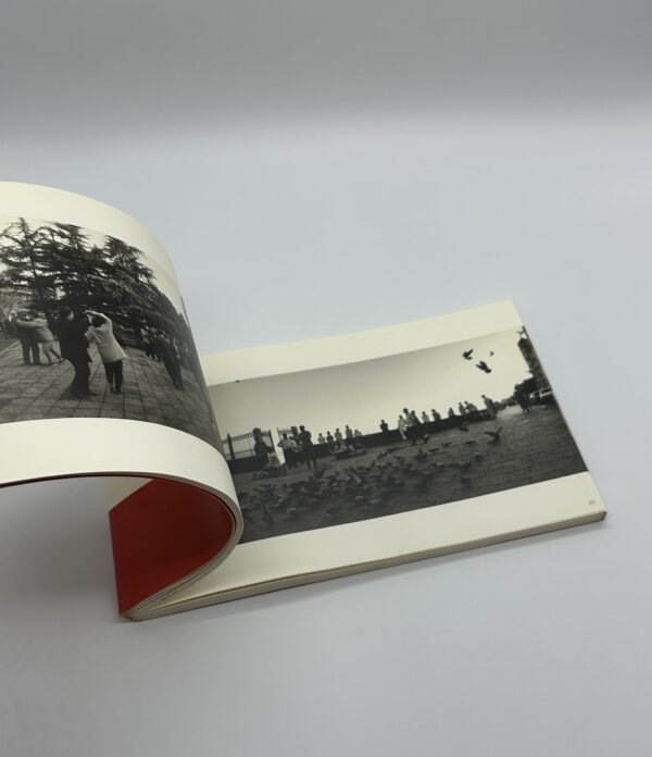 PEACE LAND 1995-2001