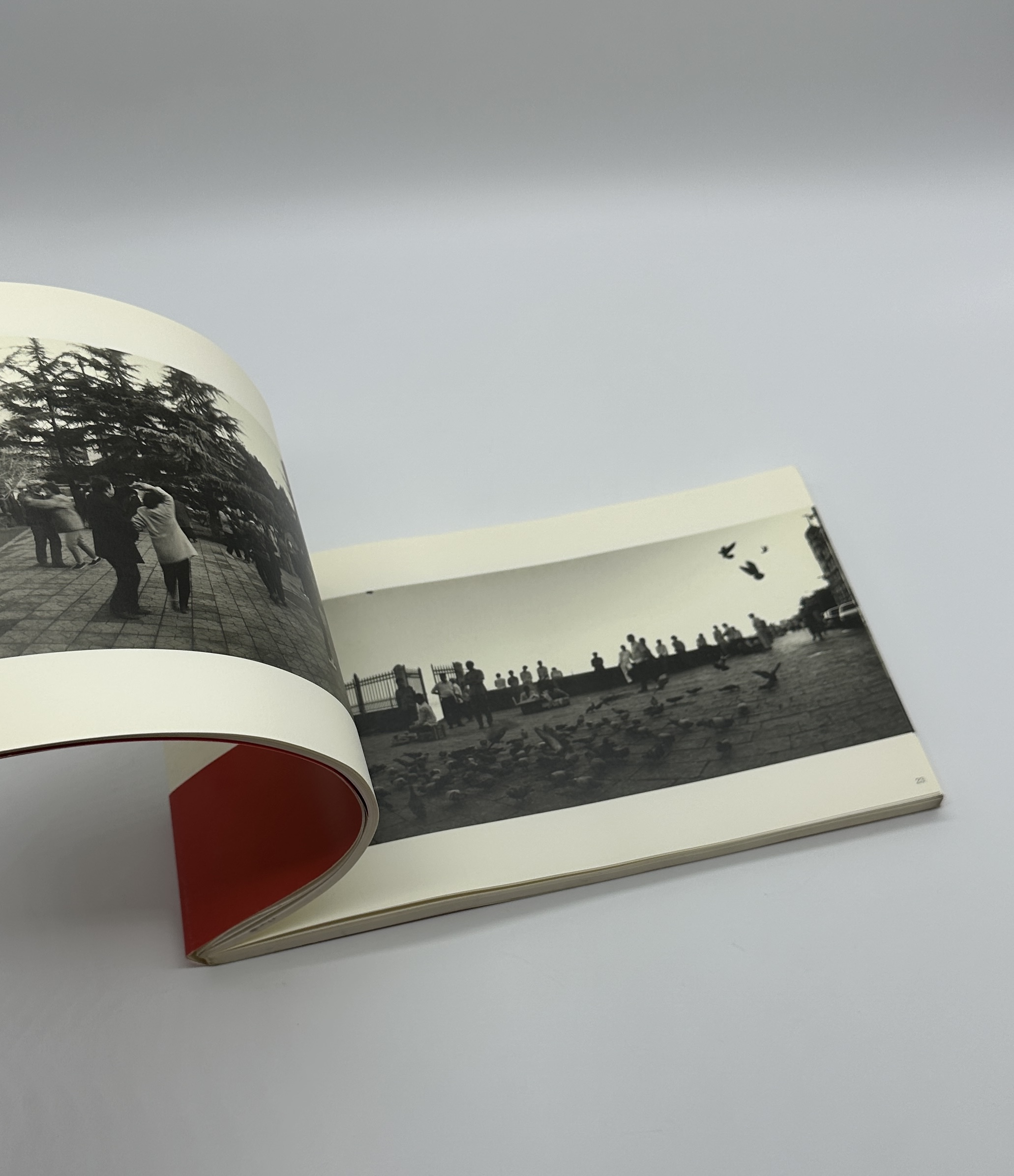 PEACE LAND 1995-2001 - 画像 (4)