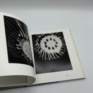 Fotogramme 1922-1943 - 画像 (7)