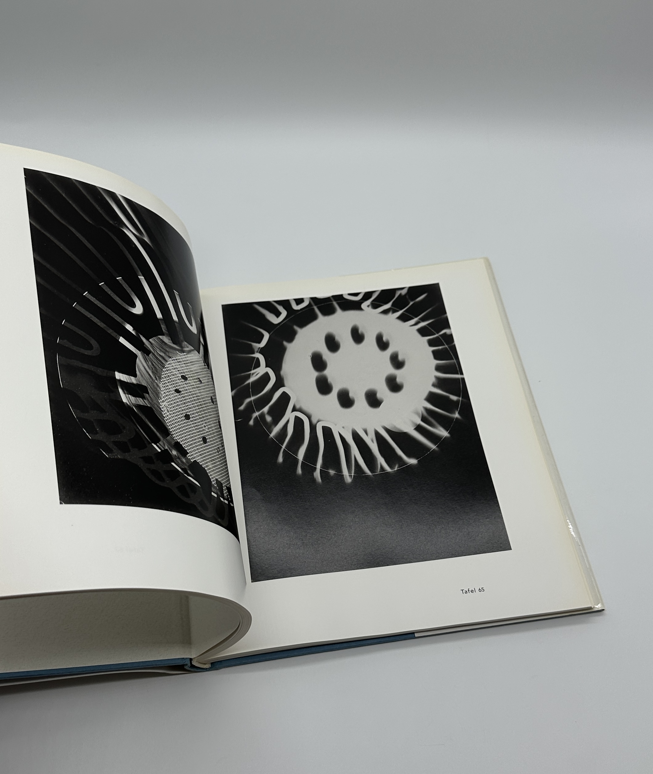 Fotogramme 1922-1943 - 画像 (7)