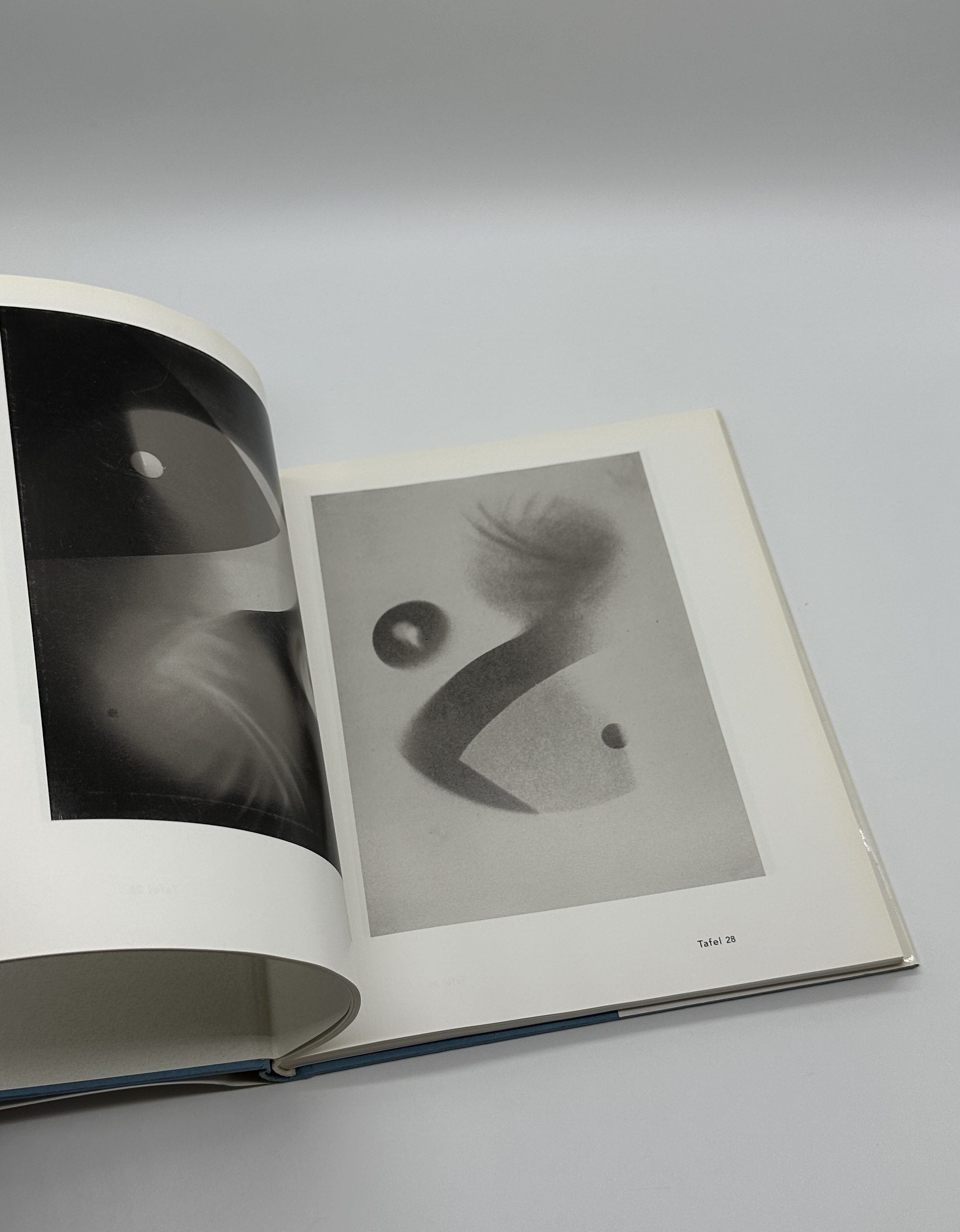 Fotogramme 1922-1943 - 画像 (5)