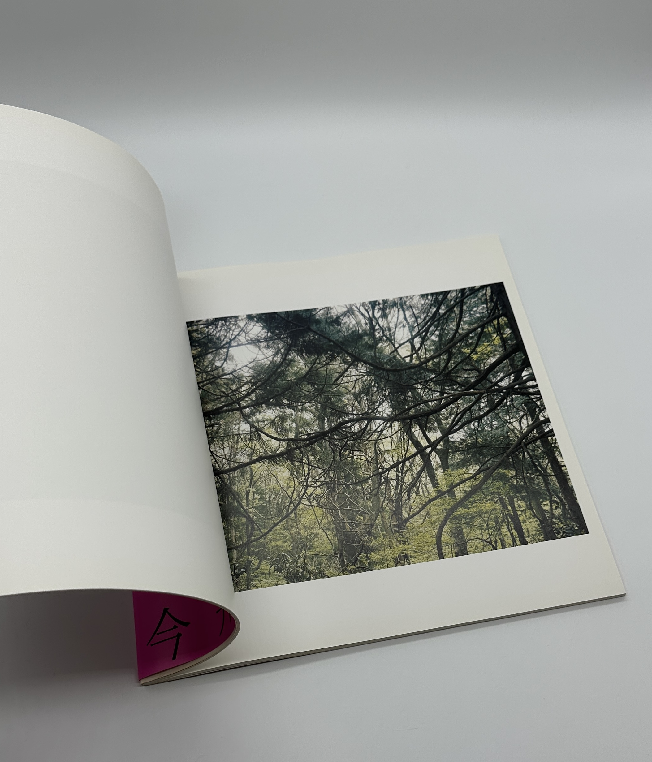 光と重力 - 画像 (3)