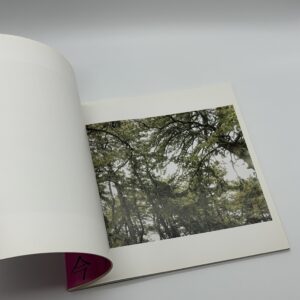 光と重力 - 画像 (2)