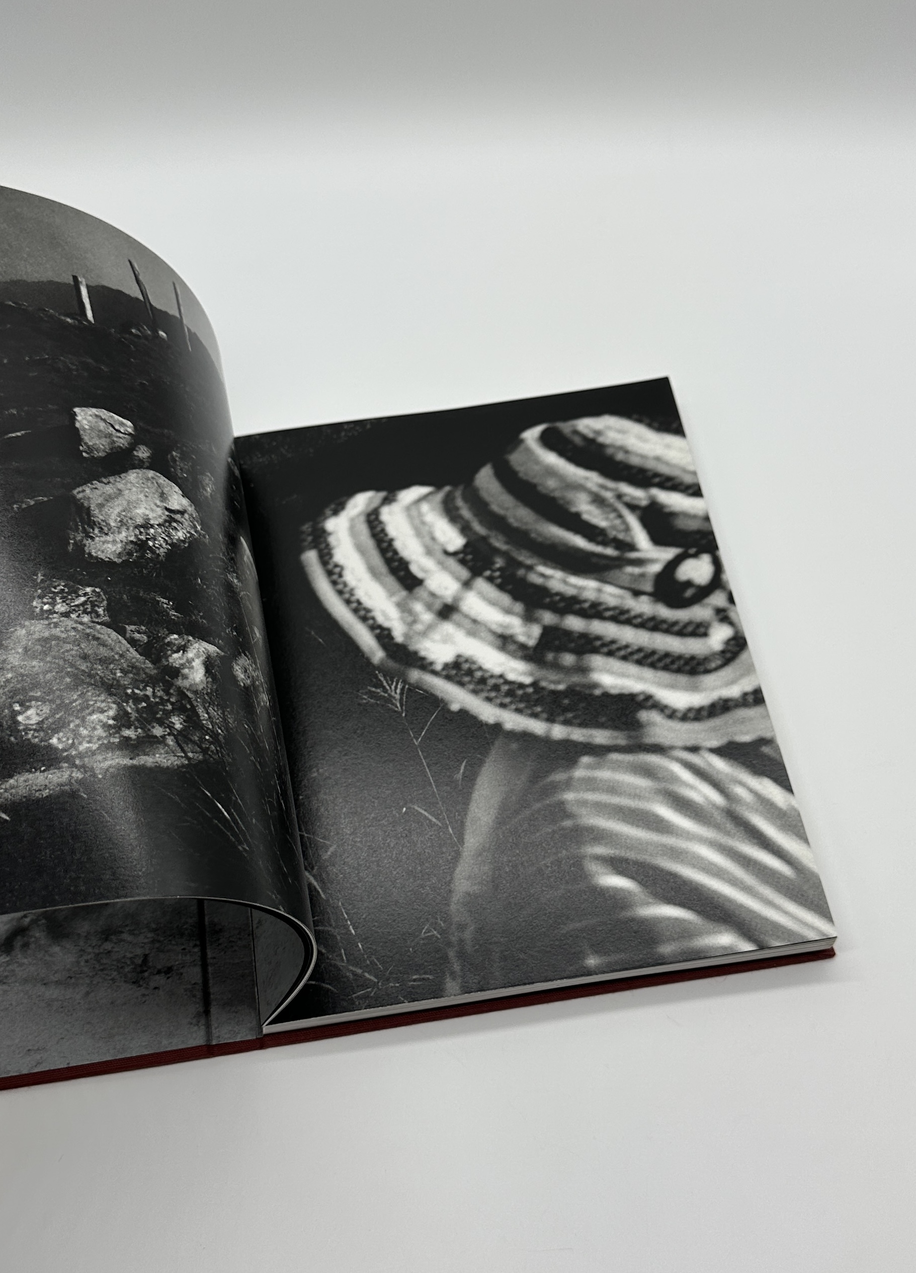 「署名入」Ten Disciples - 画像 (3)