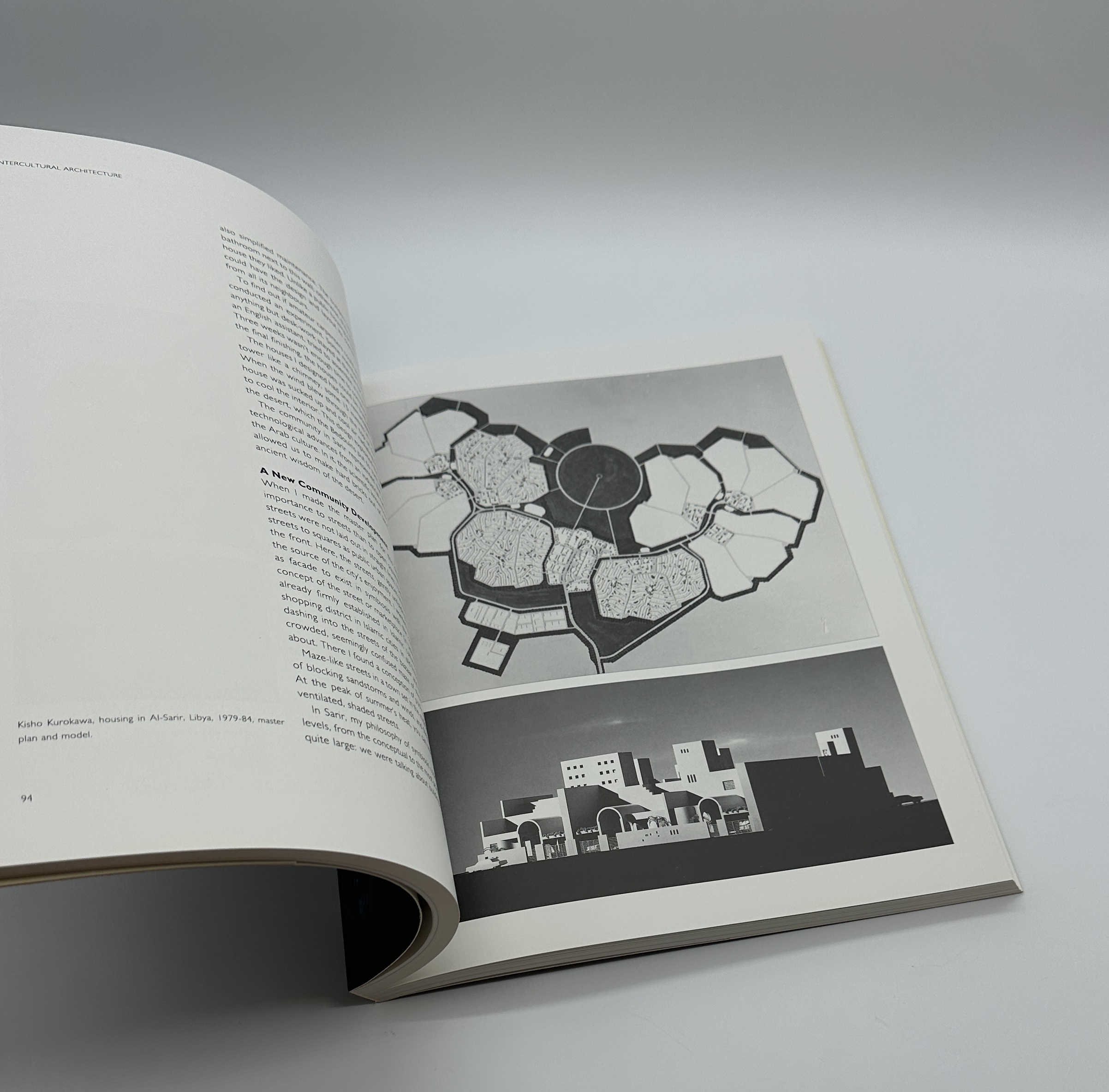 INTERCULTURAL ARCHITECTURE The Philosophy of Symbiosis - 画像 (4)