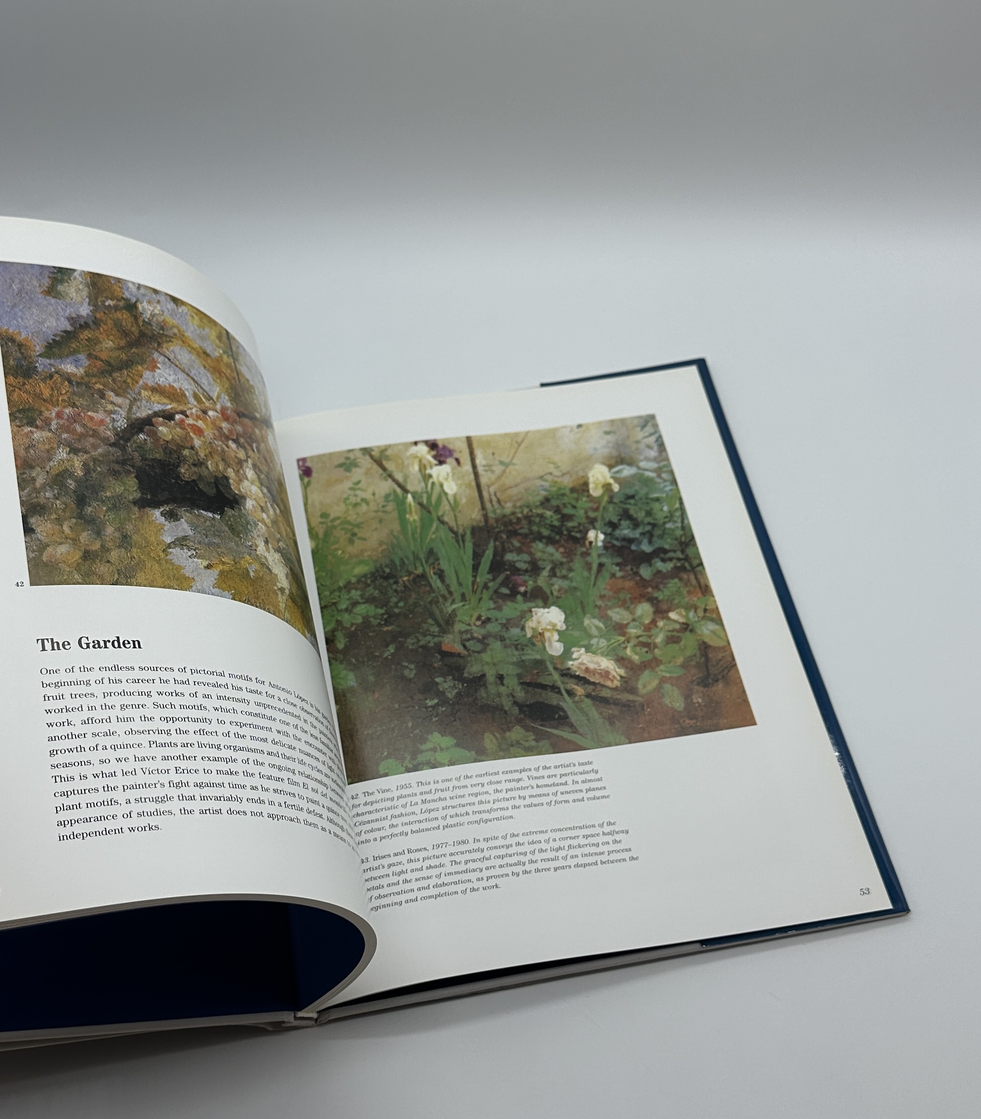 Antonio Lopez - 画像 (7)