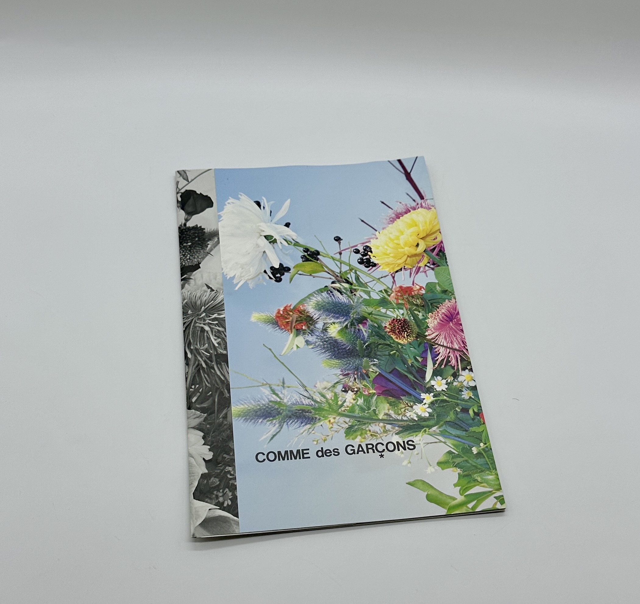 COMME des GARÇONS 1998年コレクションDM 5枚+おまけ1枚 COMME des GARÇONS 1998年コレクションDM 5枚+おまけ1枚 - メルカリ