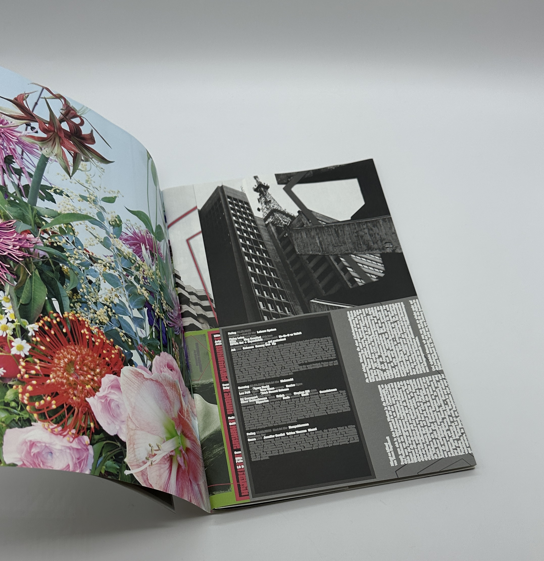 Comme des Garcons DM - りーちあーと