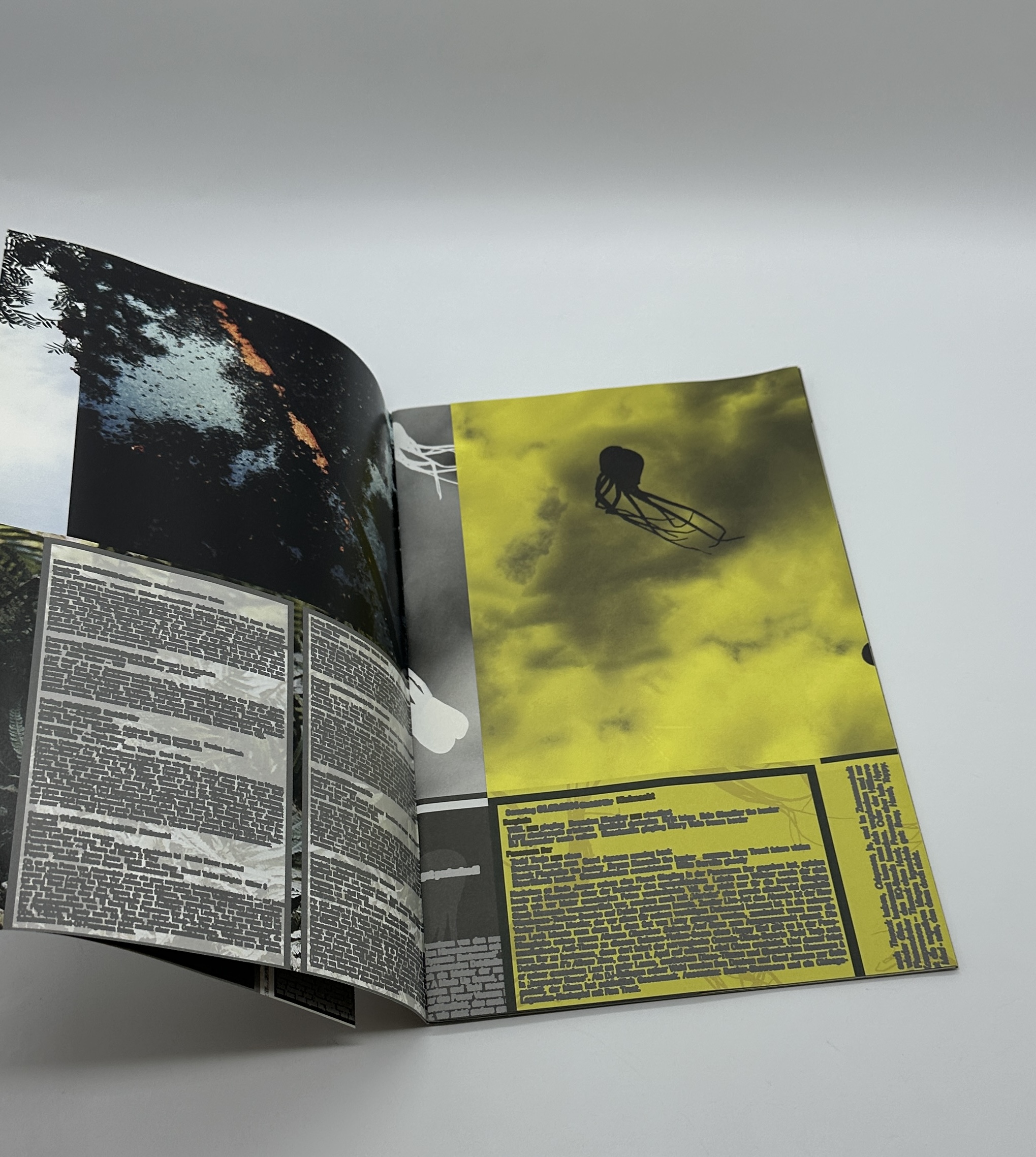 Comme des Garcons DM - 画像 (2)