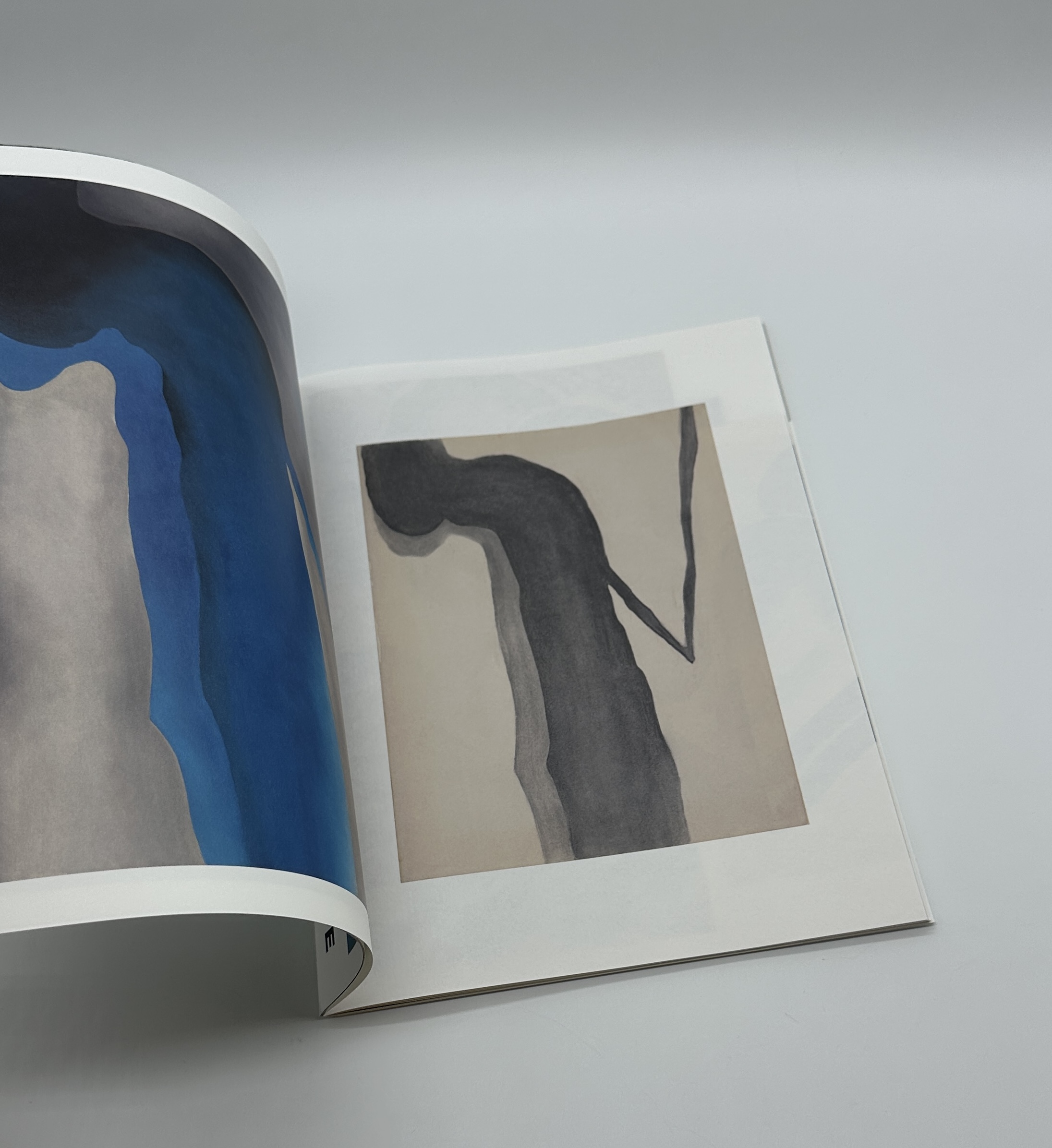 Comme des Garcons DM　Georgia O