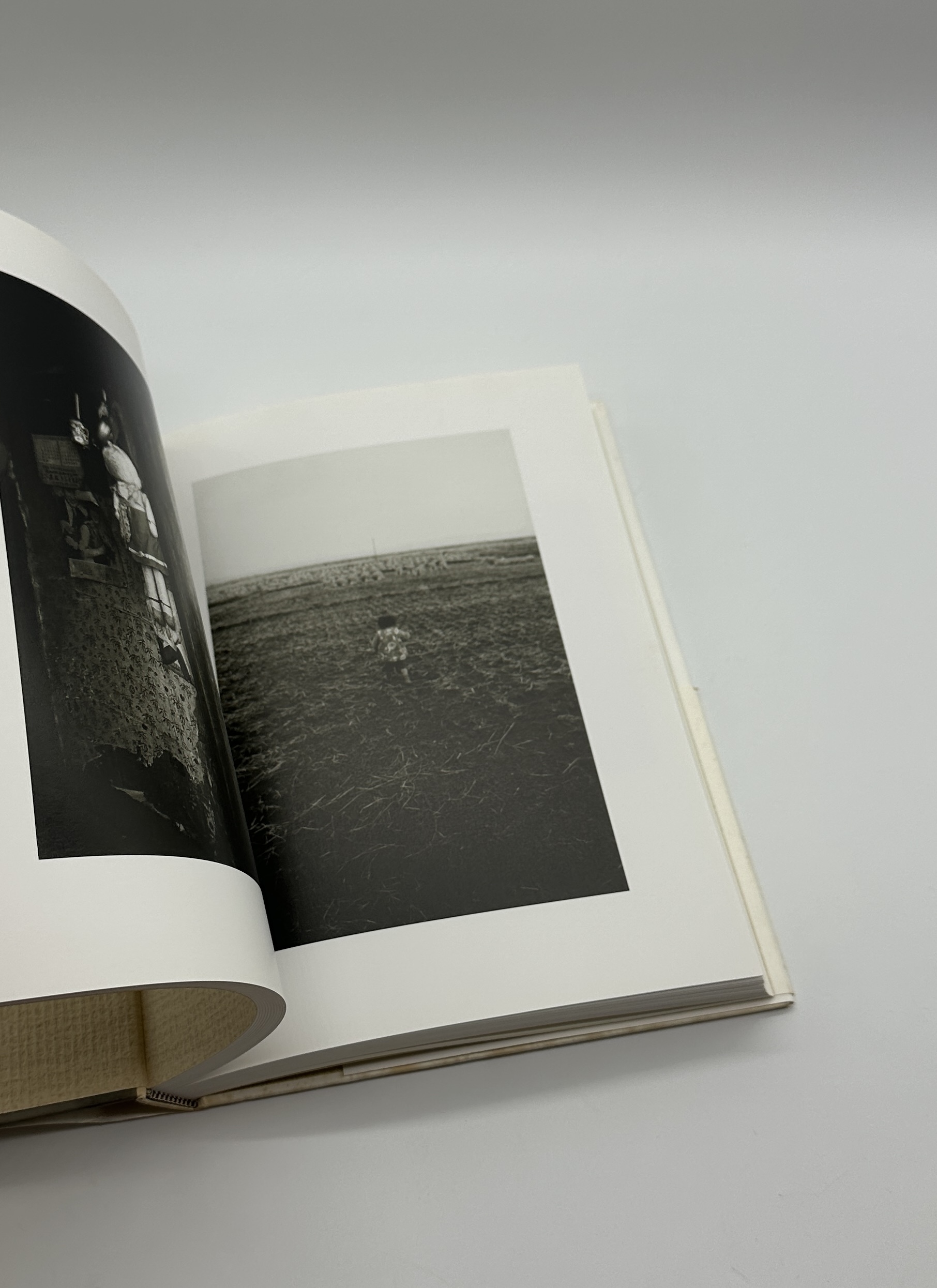 小島一郎写真集成 - 画像 (4)