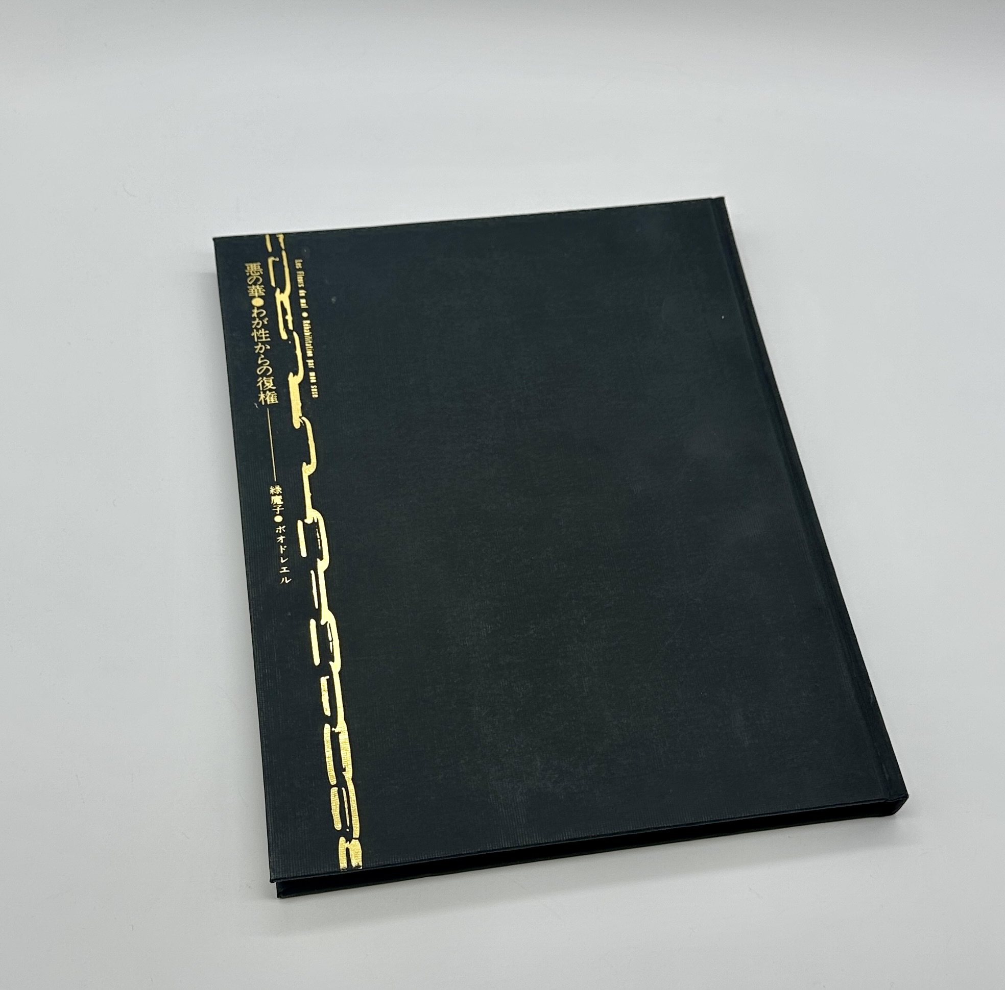 悪の華　わが性からの復権 - 画像 (2)