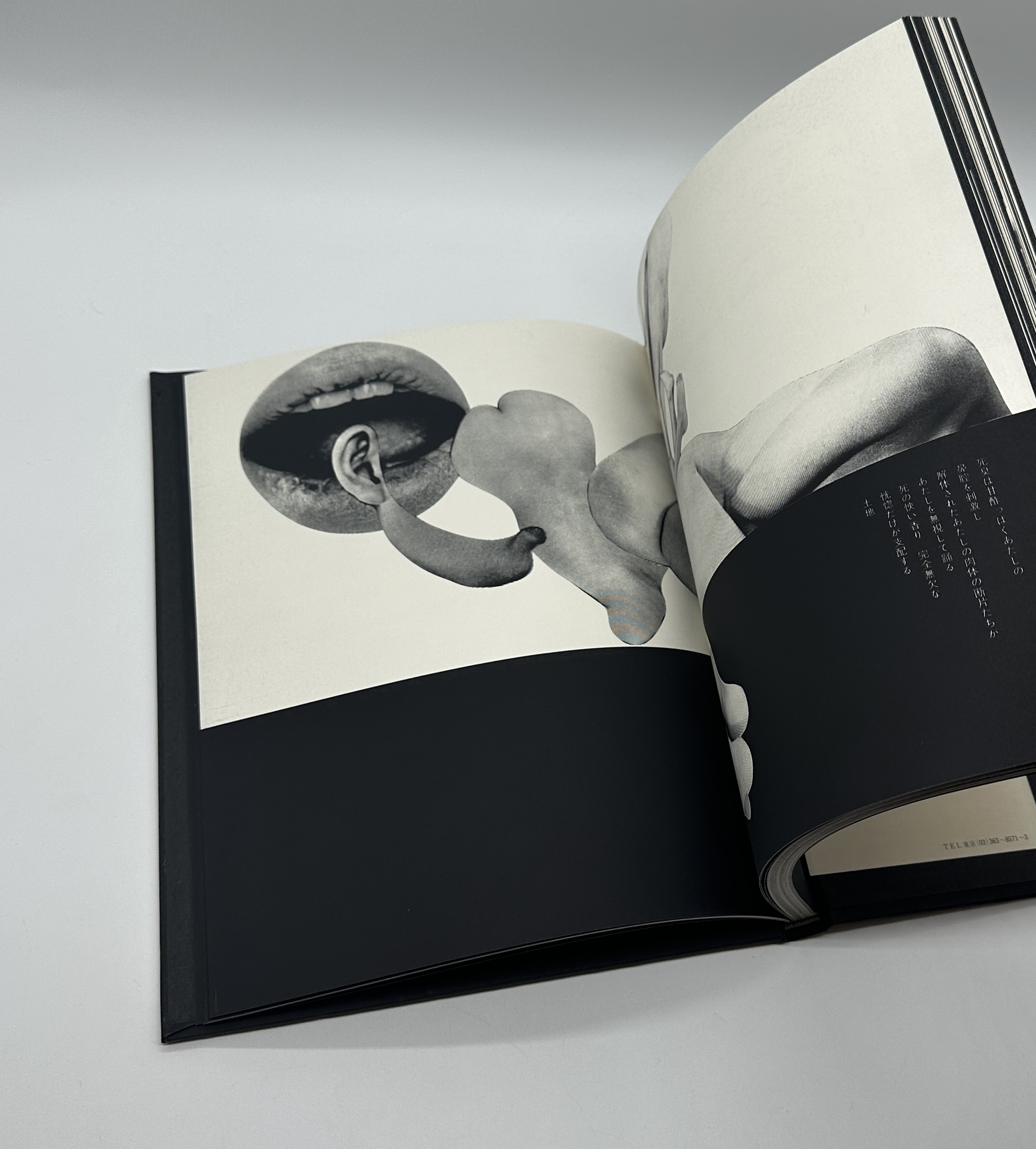 悪の華　わが性からの復権 - 画像 (8)