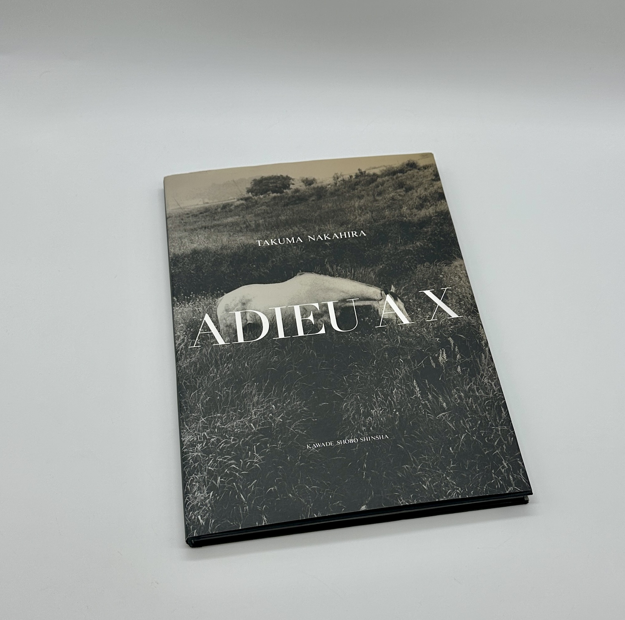 ADIEU A X - 画像 (1)